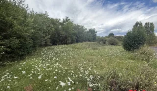 Terrain 4800m²