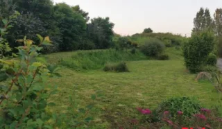 Terrain 4800m²