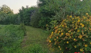 Terrain 4800m²