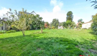 Terrain 350m²