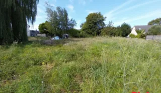 Terrain 769m²