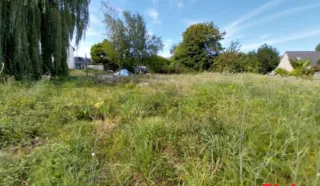 Terrain 769m²
