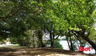 Terrain 435m²