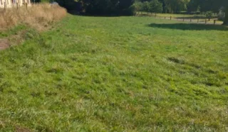 Terrain 3147m²