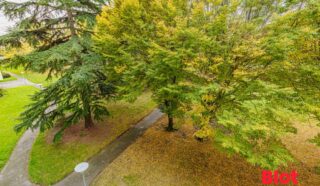 Appartement 3 pièce(s)