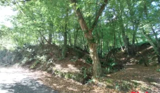 Terrain 10680m²