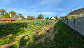 Terrain 682m²
