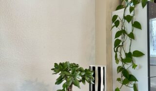 Appartement 2 pièce(s)