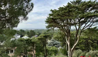 Appartement 2 pièce(s)