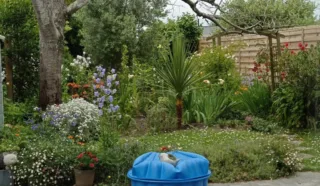 Appartement 5 pièce(s)