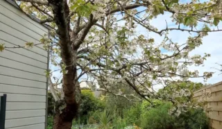 Appartement 5 pièce(s)