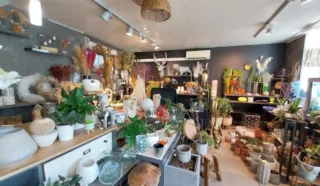 Immeuble 4 pièce(s)