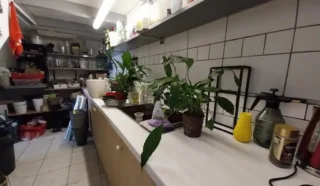 Immeuble 4 pièce(s)