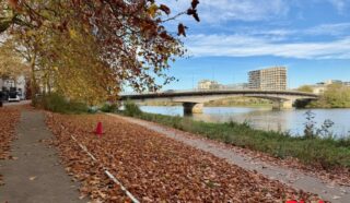 Appartement 2 pièce(s)