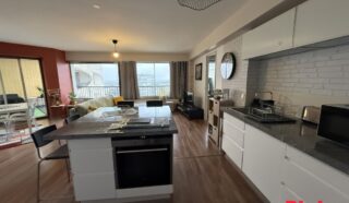 Appartement 2 pièce(s)