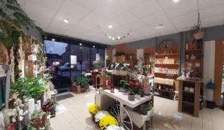  LOCAL COMMERCIAL 80 m² LANGUIDIC