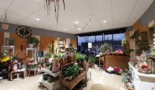  LOCAL COMMERCIAL 80 m² LANGUIDIC