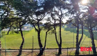 Appartement 1 pièce(s)