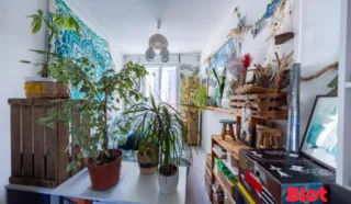 Appartement 2 pièce(s)