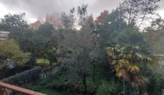 Appartement 3 pièce(s)