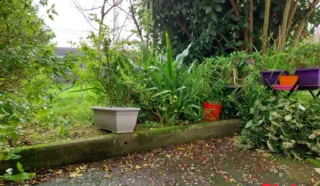 Appartement 3 pièce(s)