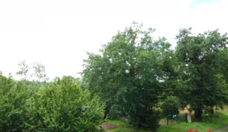 Appartement 3 pièce(s)