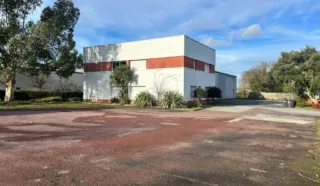  LOCAL D'ACTIVITES DOMLOUP 600 m²