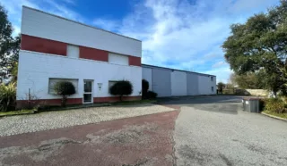  LOCAL D'ACTIVITES DOMLOUP 600 m²
