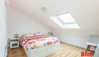 Immeuble 9 pièce(s)