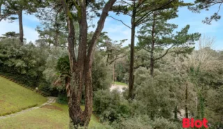 Appartement 2 pièce(s)