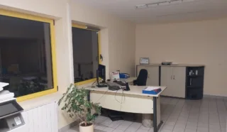  LOCAL D'ACTIVITES 1 010 m² PLEYBEN