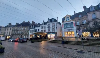  LOCAUX COMMERCIAUX / BUREAUX VITRINE AURAY 100 m²