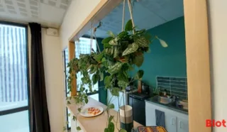  BUREAUX LOCAL COMMERCIAL 74 m² NANTES