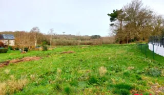 Terrain 563m²