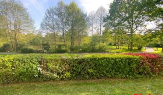 Appartement 2 pièce(s)