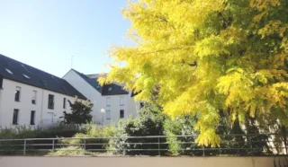 Appartement 3 pièce(s)