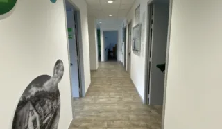  LOCAL D'ACTIVITES LANVALLAY 206 m²