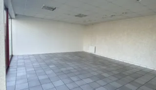  LOCAL D'ACTIVITES DINAN / TADEN 860 m²