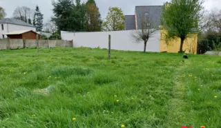 Terrain 667m²