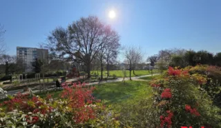 Appartement 2 pièce(s)