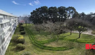 Appartement 4 pièce(s)