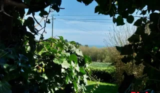 Appartement 3 pièce(s)