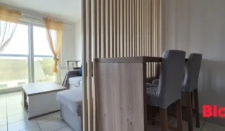 Appartement 1 pièce(s)