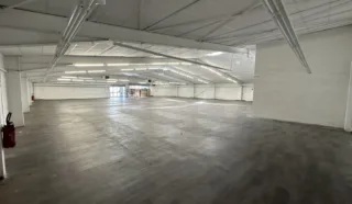  LOCAL COMMERCIAL 830 m² SAINT THURIAU