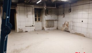 Immeuble 10 pièce(s)