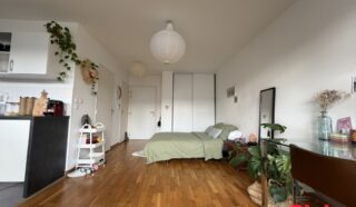 Appartement 1 pièce(s)