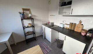 Appartement 1 pièce(s)