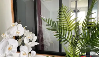 Appartement 4 pièce(s)