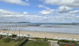 Appartement 2 pièce(s)