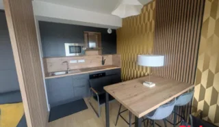 Appartement 1 pièce(s)